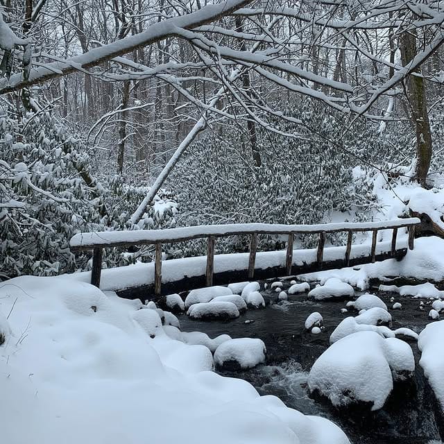 Albright Grove
