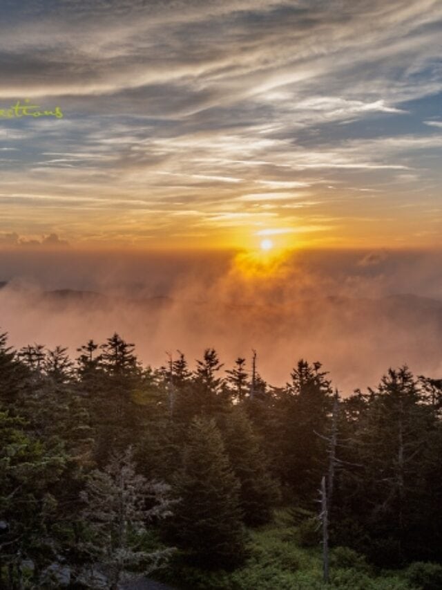 Clingmans Dome Smoky Mountains Tennessee