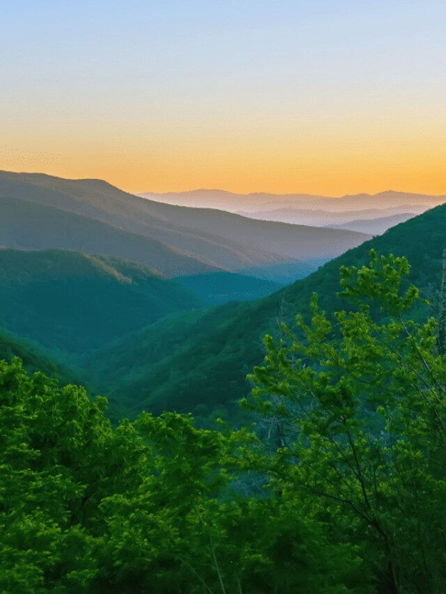 5 Reasons You MUST Visit the Smoky Mountains During Your Lifetime