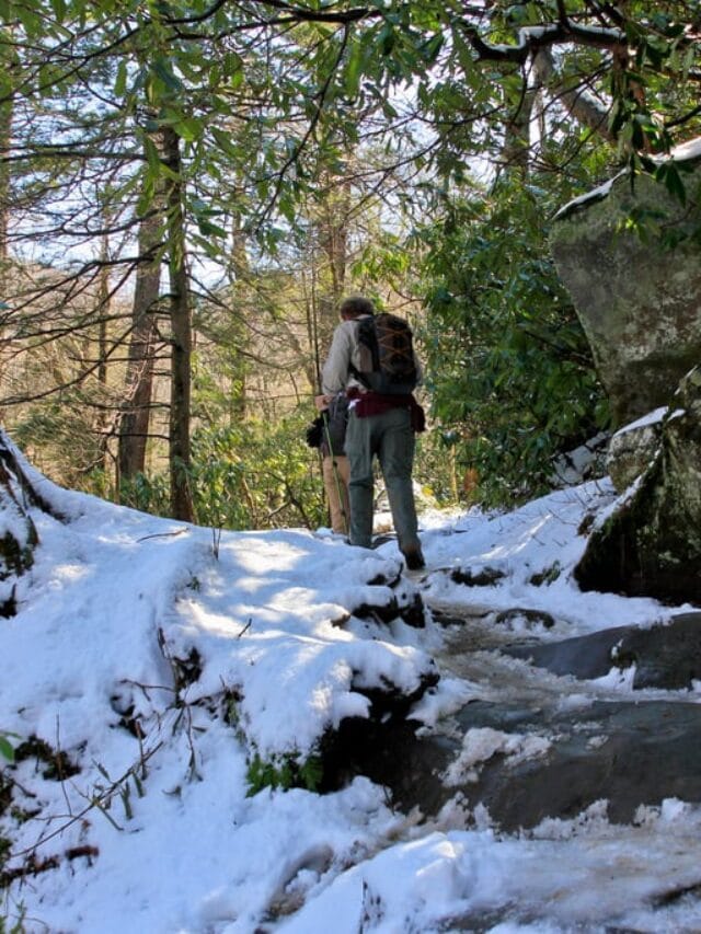 4 Wonderful Winter Things to Do in the Smoky Mountains