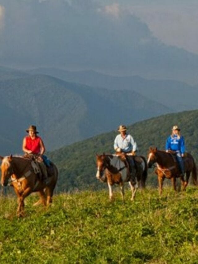Smoky Mountains Horseback Riding
