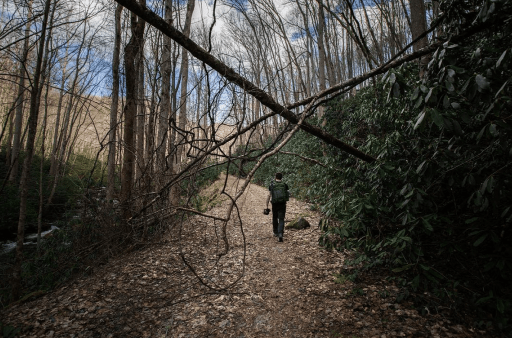 Middle Prong Trail - Gatlinburg, Tennessee - Middle Prong Trail