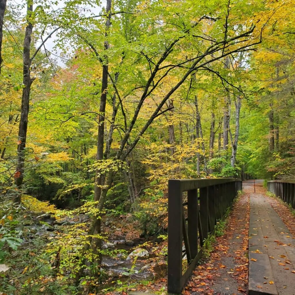 Middle Prong Trail