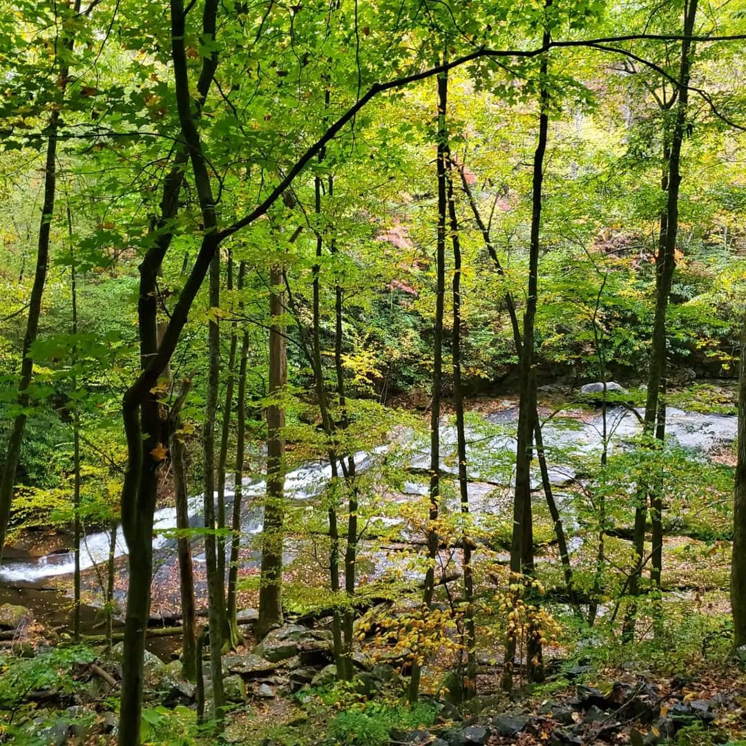 Middle Prong Trail