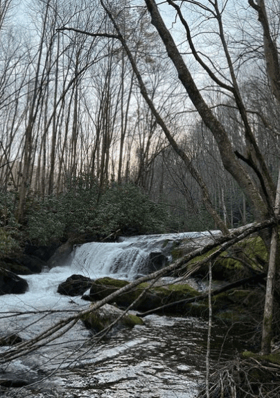 middle prong trail - lynn falls