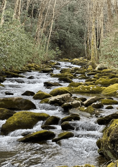 middle prong trail - lynn falls