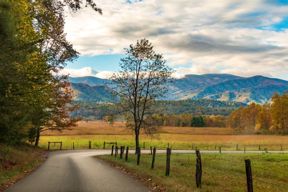 Cades Cove Fall