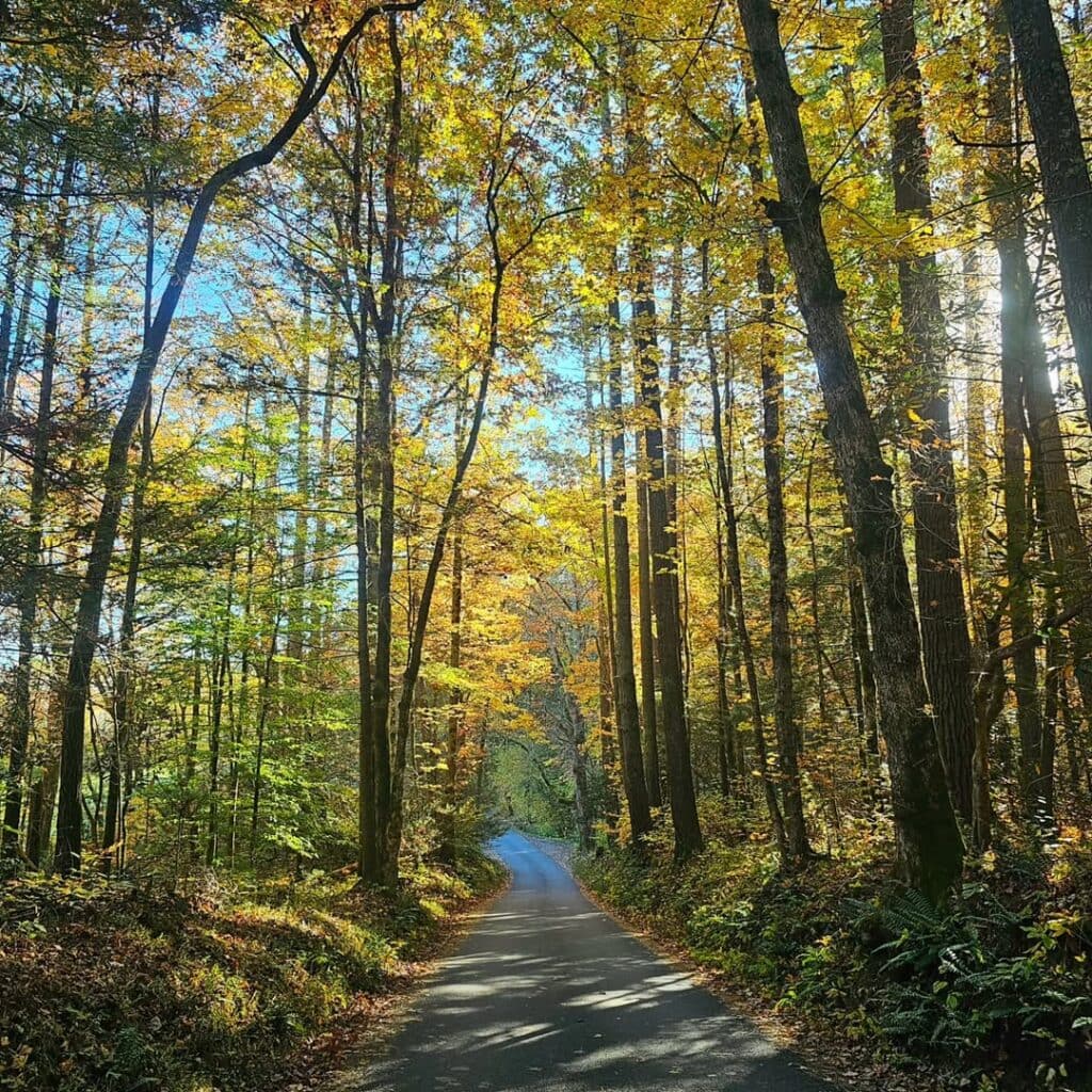 Cades Cove-Townsend