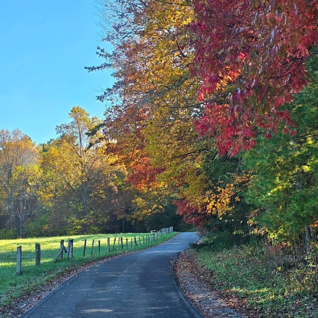 Cades Cove-Townsend