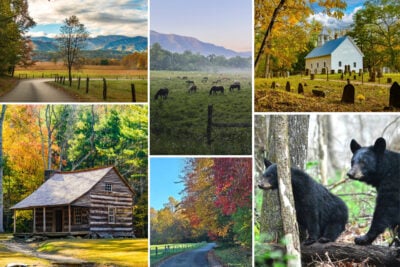 SM Cades Cove