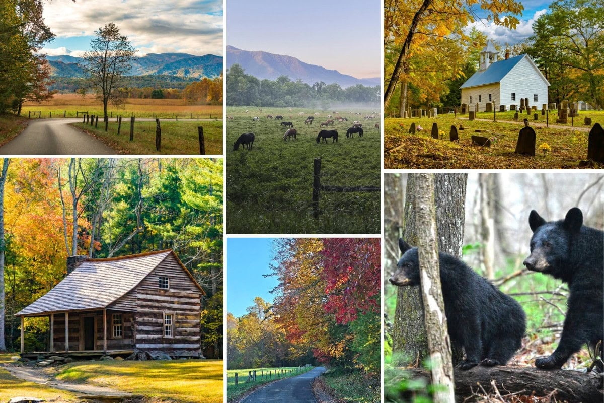 SM Cades Cove