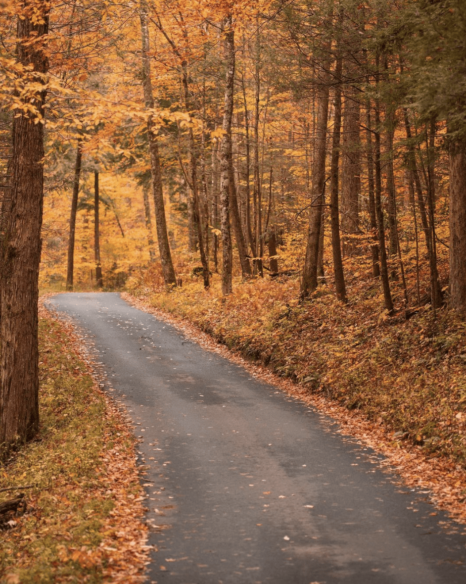 11 BEST Things To Do In Gatlinburg In The Fall [NEW 2026]