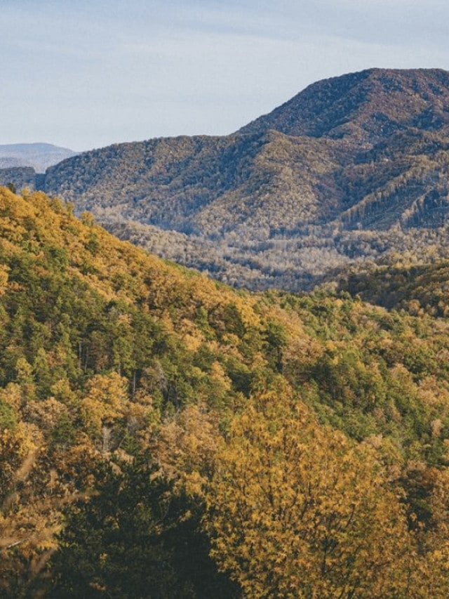 Sneak Away to the Smokies This Fall