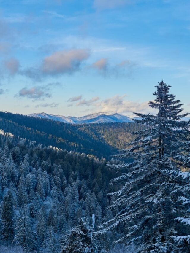 5 Reasons to Visit the Smoky Mountains in December