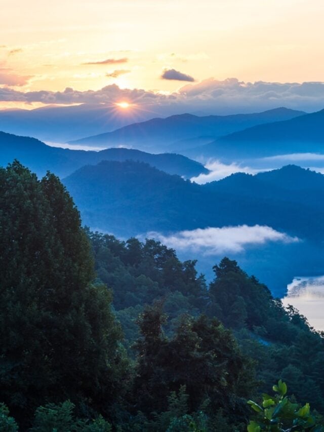 5 Reasons You MUST Visit the Smoky Mountains