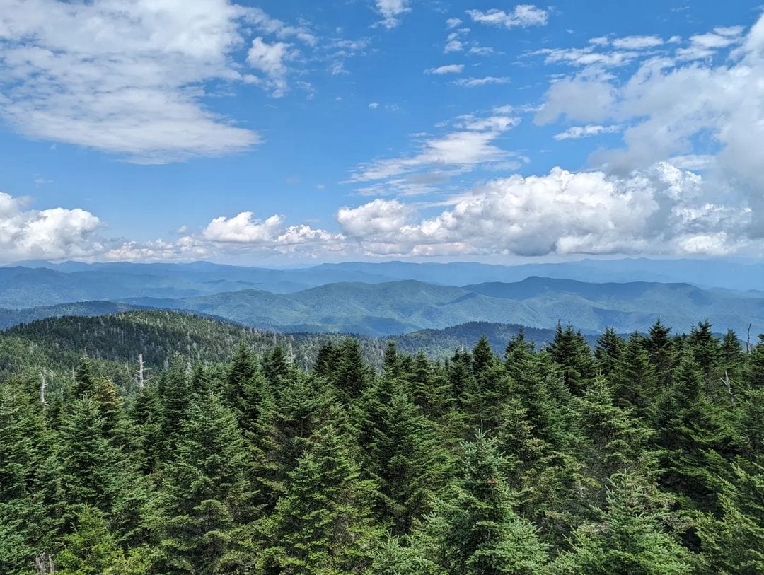 All The Way Up: Discover The 10 Highest Peaks In The Smoky Mountains