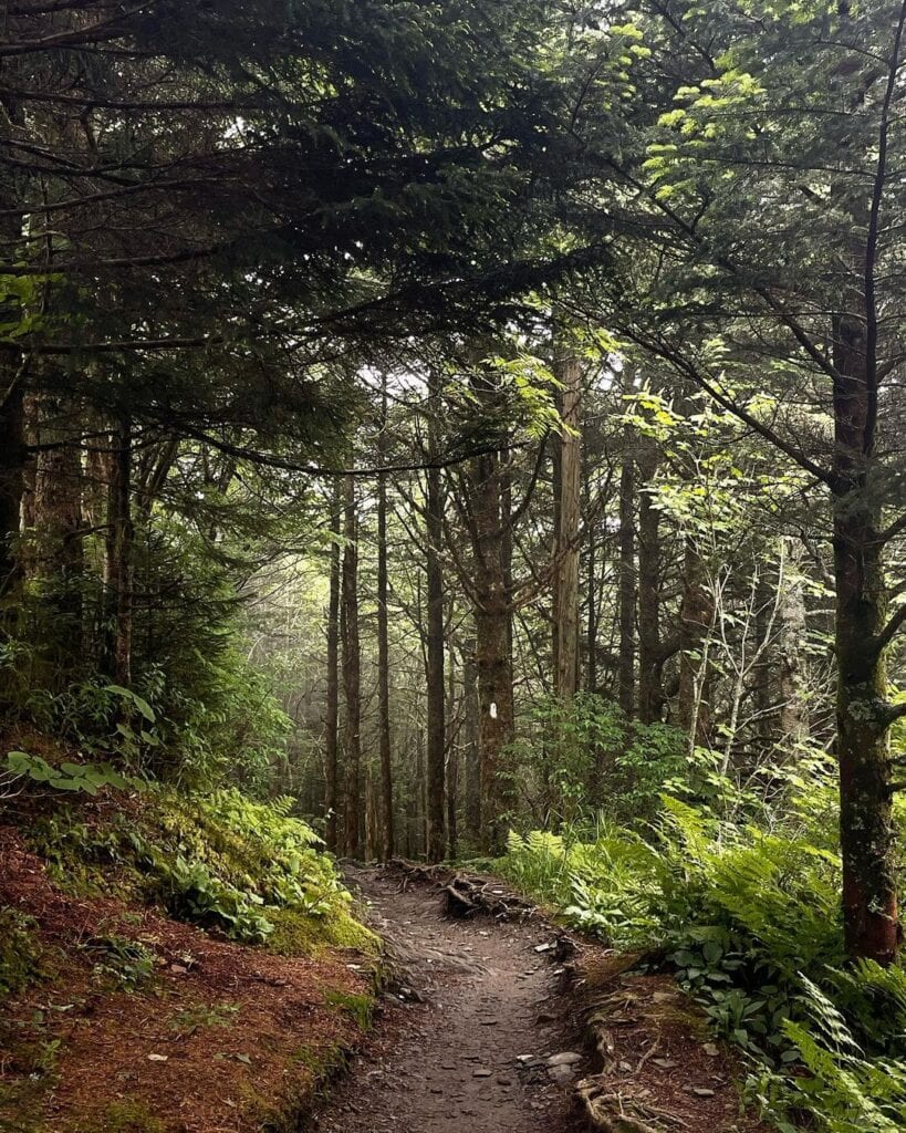 Charlies Bunion-GSMNP