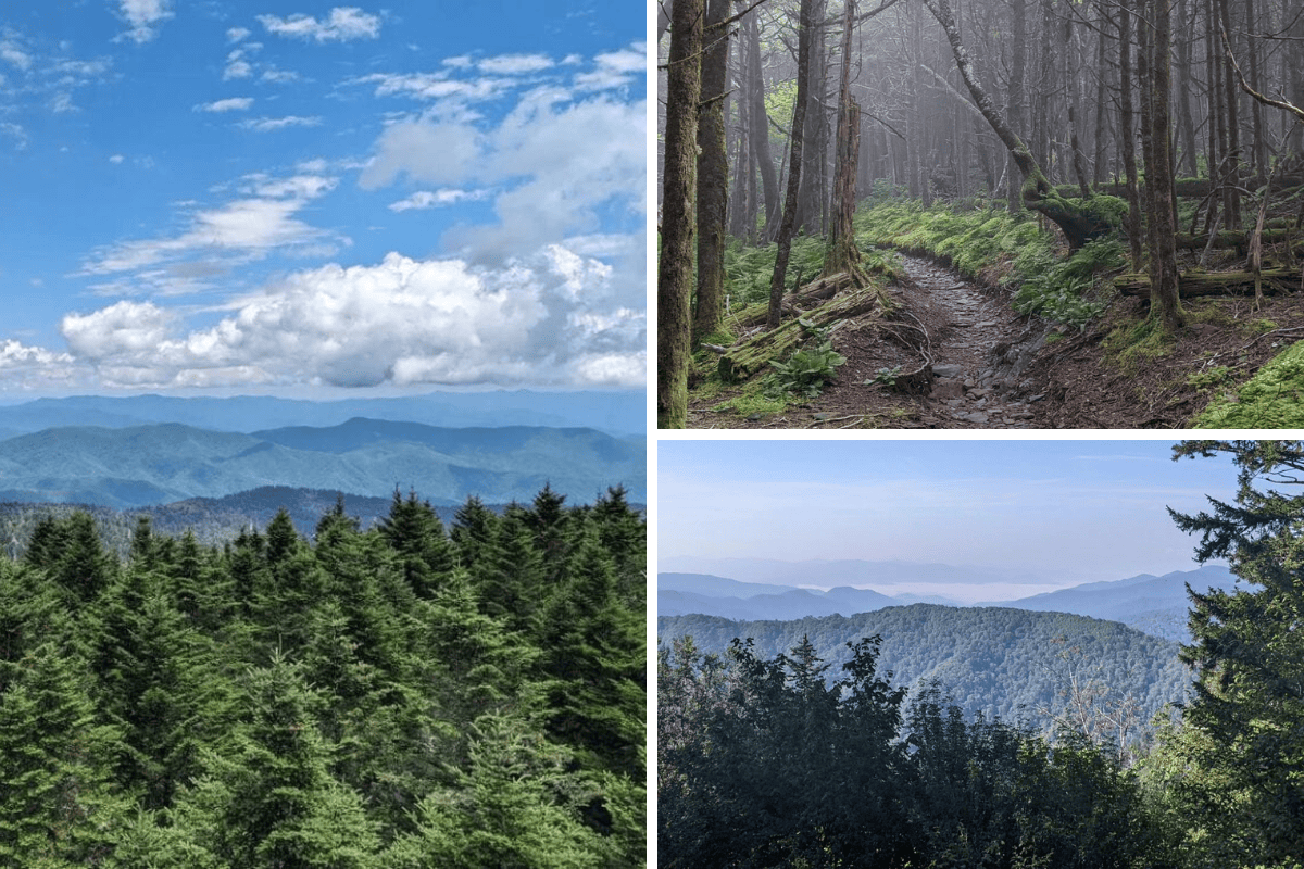 Highest Peaks
