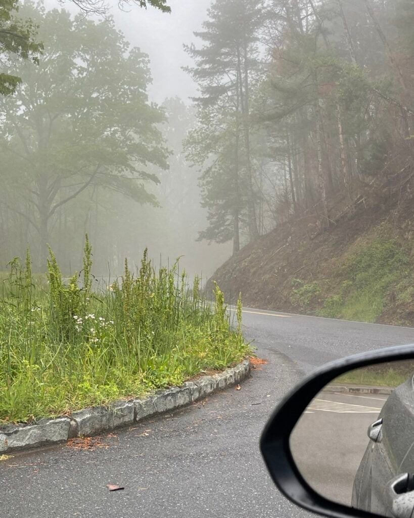 Foothills Parkway Great Smoky Mountains positive vibes and rainbows