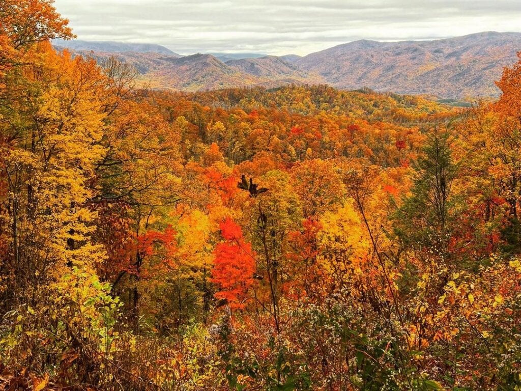 Roaring Fork Motor Nature Trail-Great Smoky Mountains