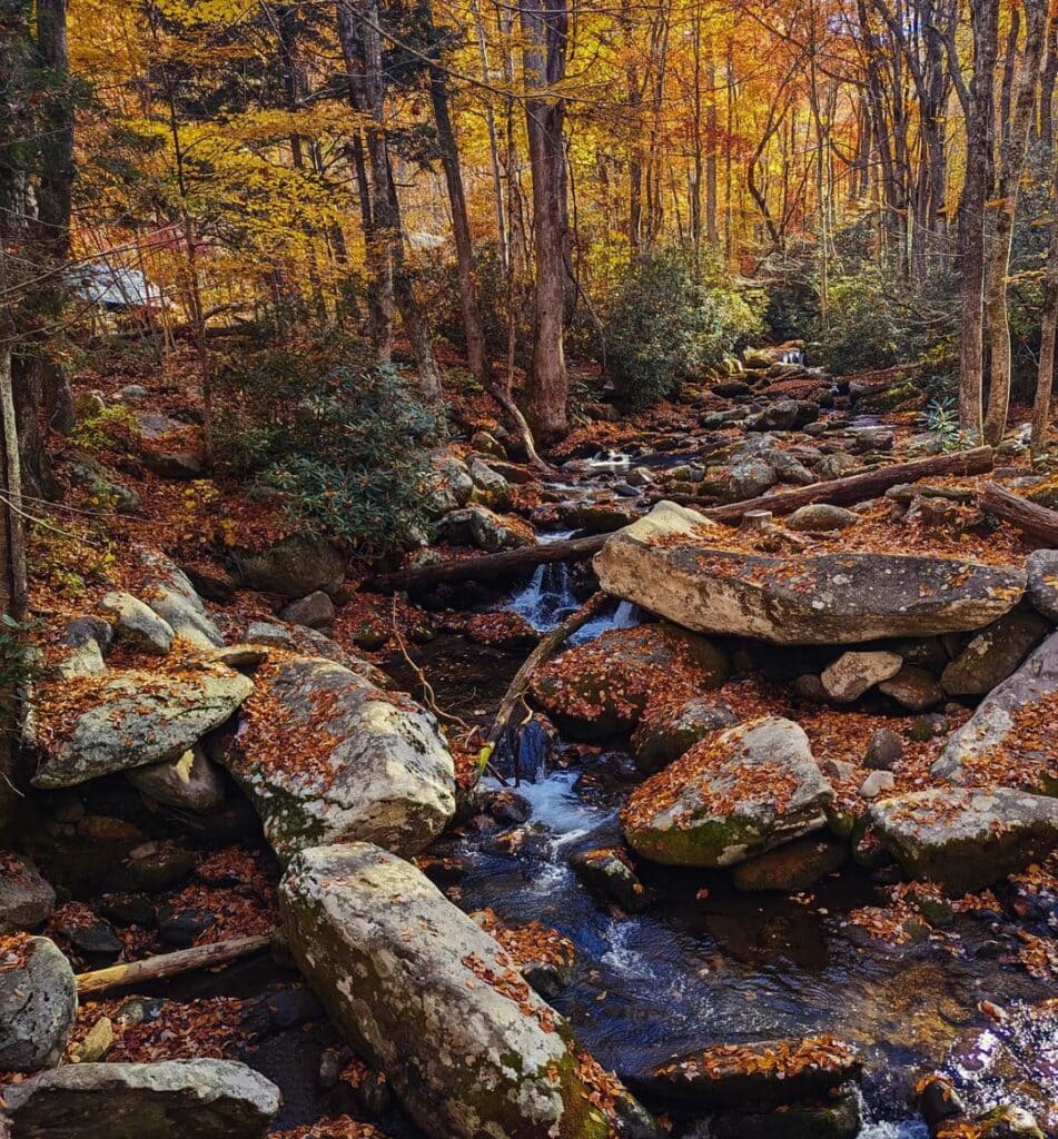 Roaring Fork Motor Nature Trail-Great Smoky Mountains