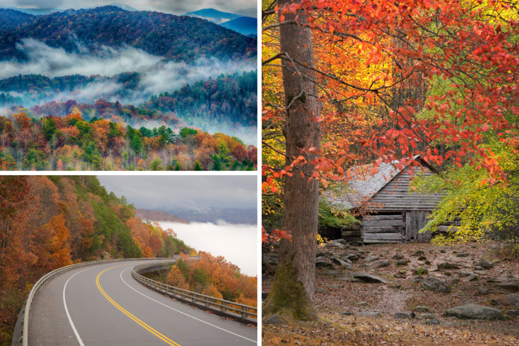 11 BEST Things To Do In Gatlinburg In The Fall [NEW 2026]
