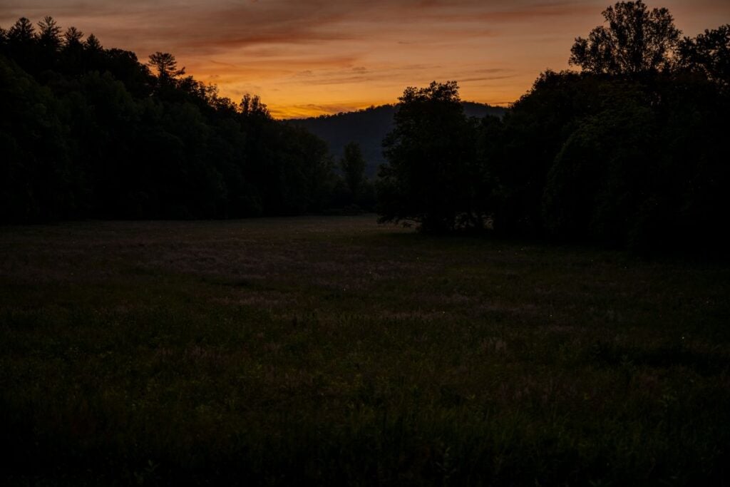 Cades Cove-SS