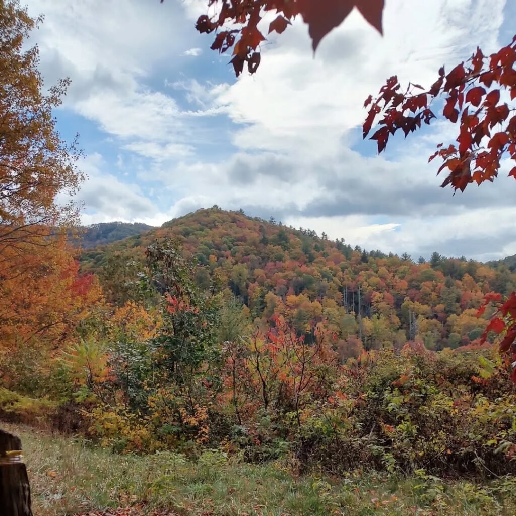 Cataloochee Valley