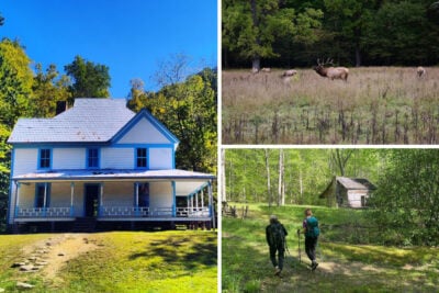 Cataloochee Valley