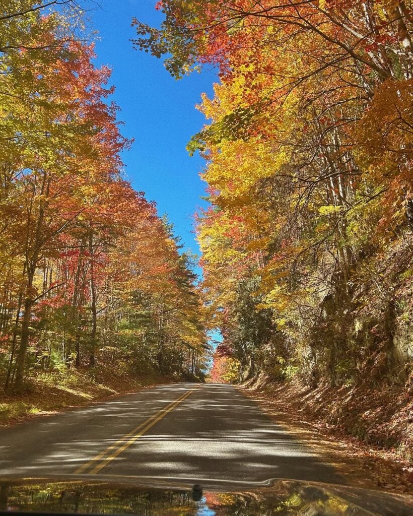 Cataloochee Valley