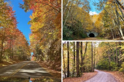 SM Fall Roads