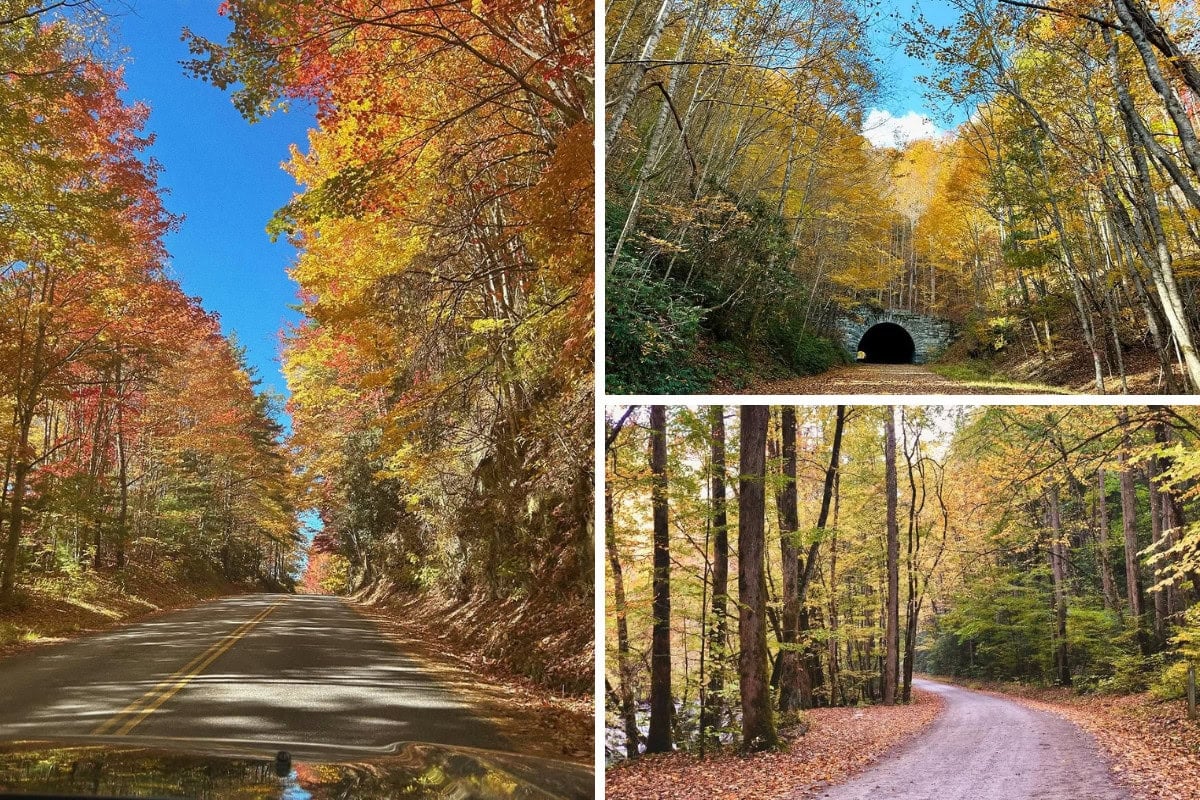 SM Fall Roads