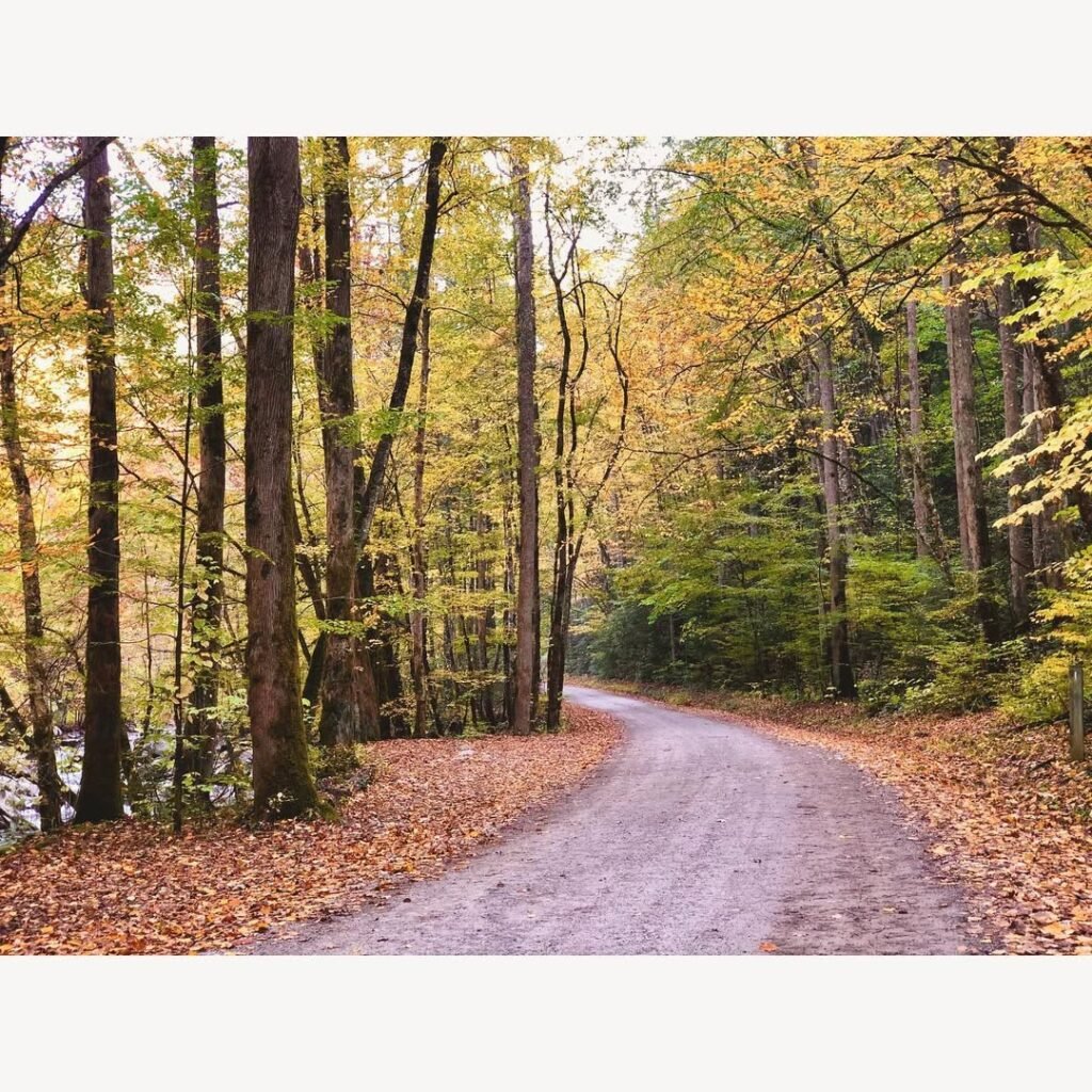 Upper Tremont Road