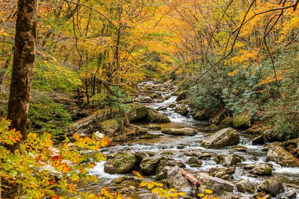 Little River Gorge Road