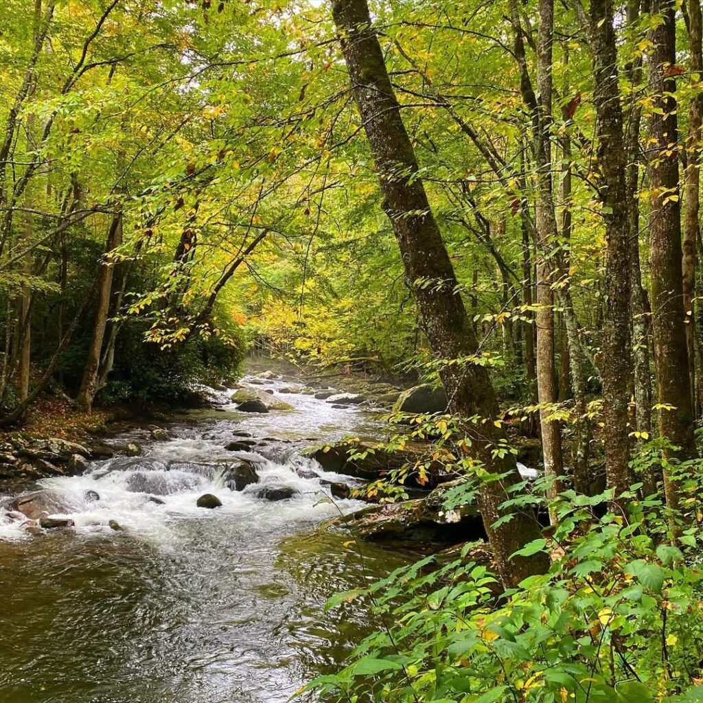Little River Trail-Elkmont