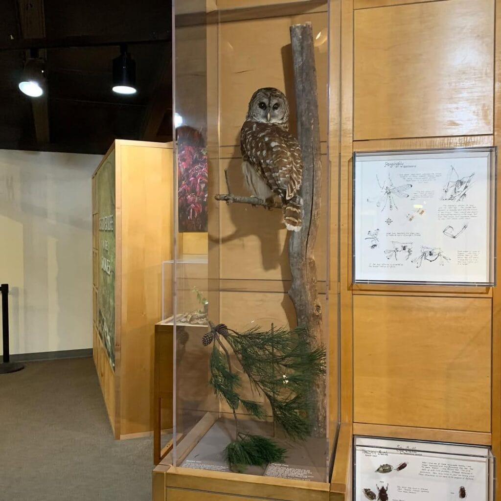 Sugarlands Visitor Center-Gatlinburg