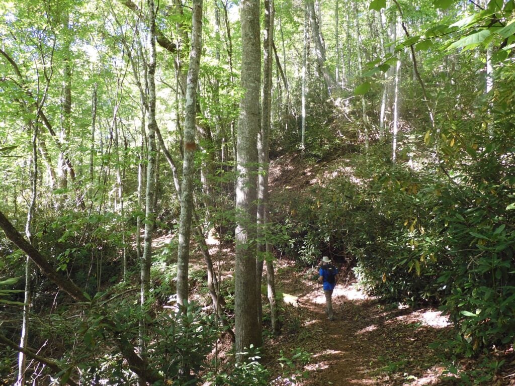 Boogerman Trail
