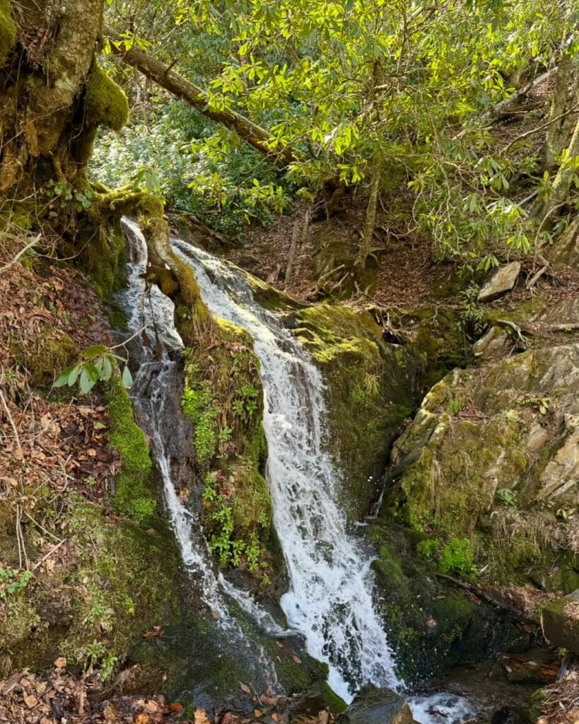 Cliff Branch Falls