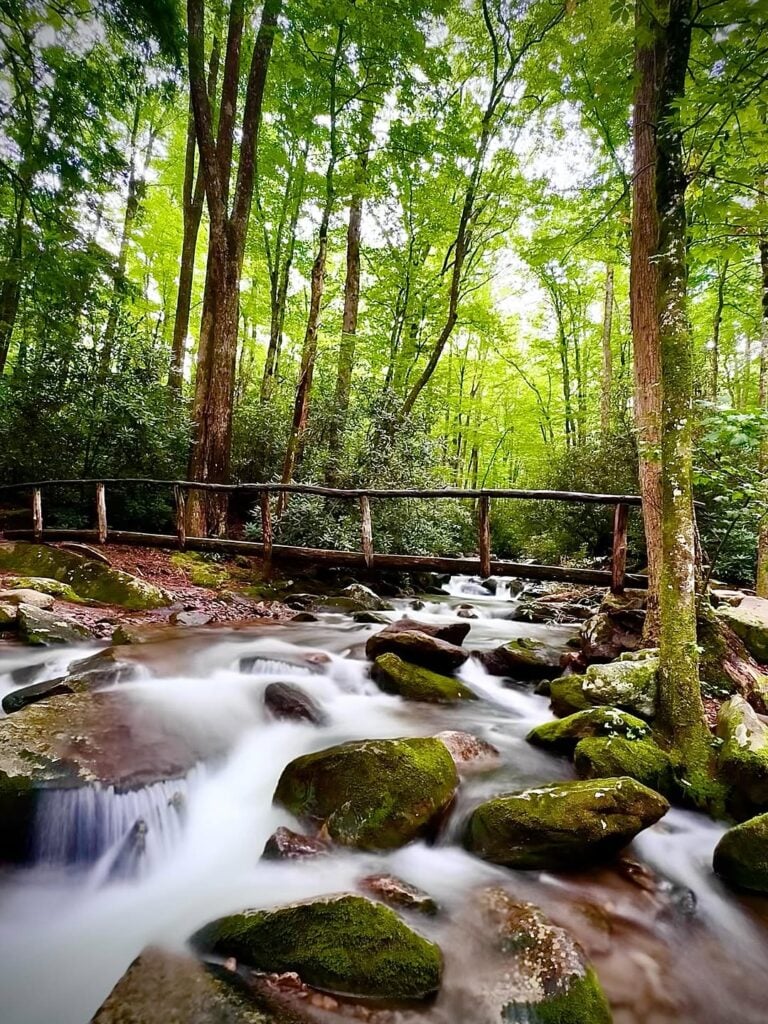 Gabes Mountain Trail