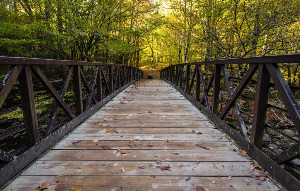 Gatlinburg Trail-SS