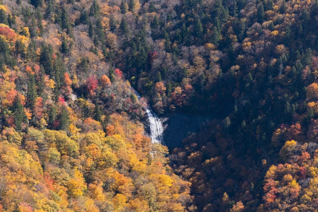 Glassmine Falls-SS