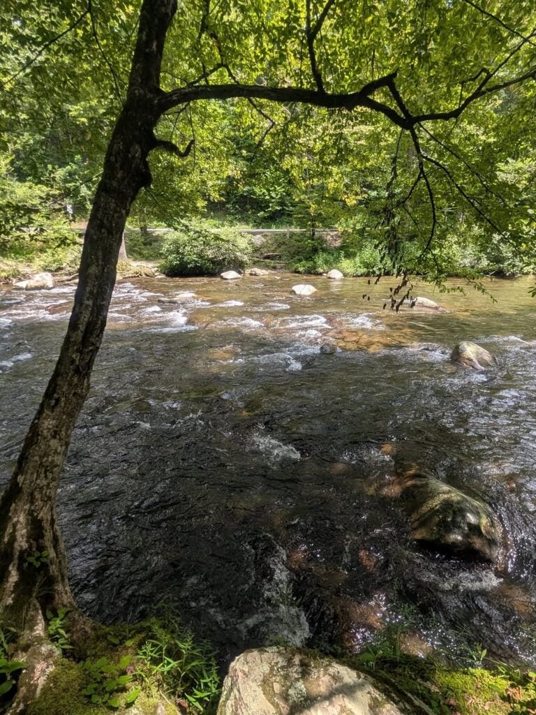 Metcalf Bottoms