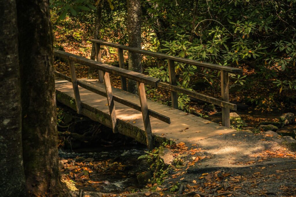 Mingus Creek Trail