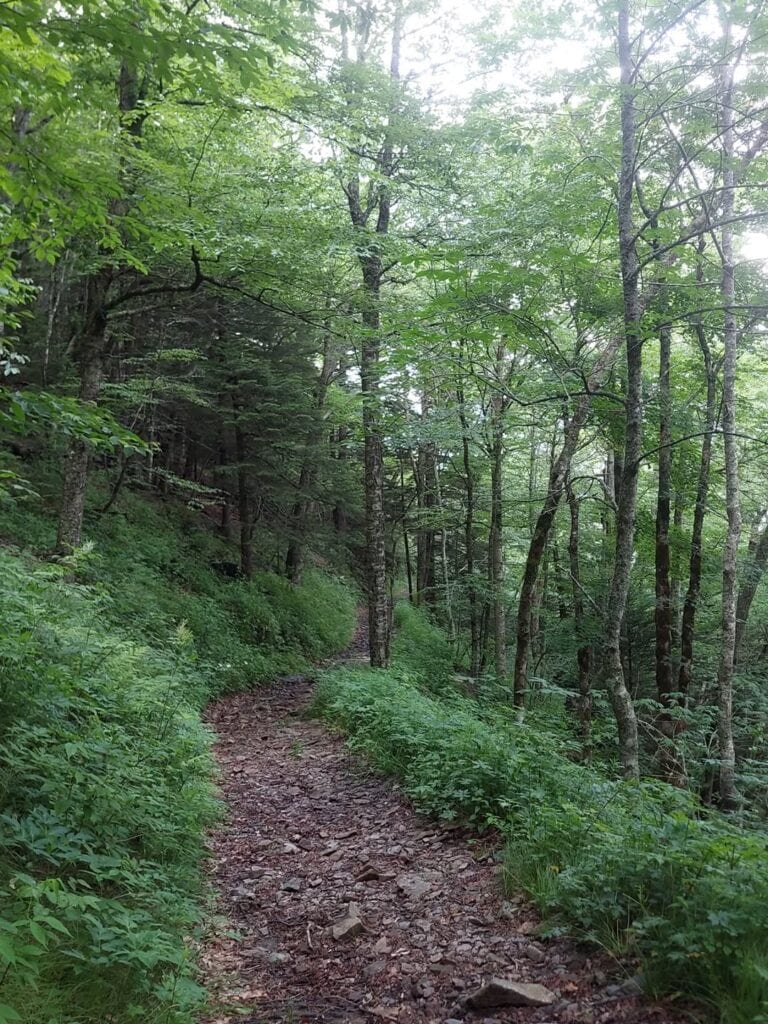 Mount Sterling Trail