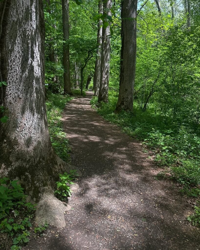 Oconaluftee River Trail