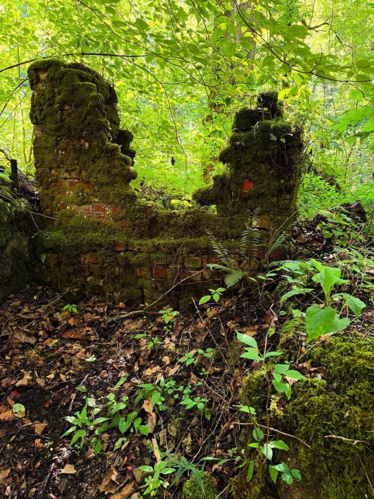 Proctor, NC