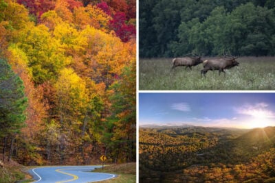 12 Crowd-Less Alternatives to Cades Cove