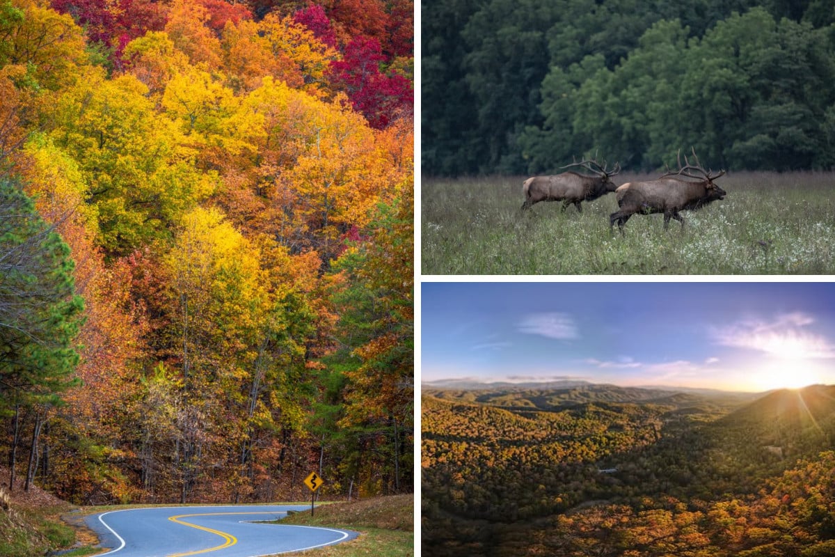 SM Alt Cades Cove