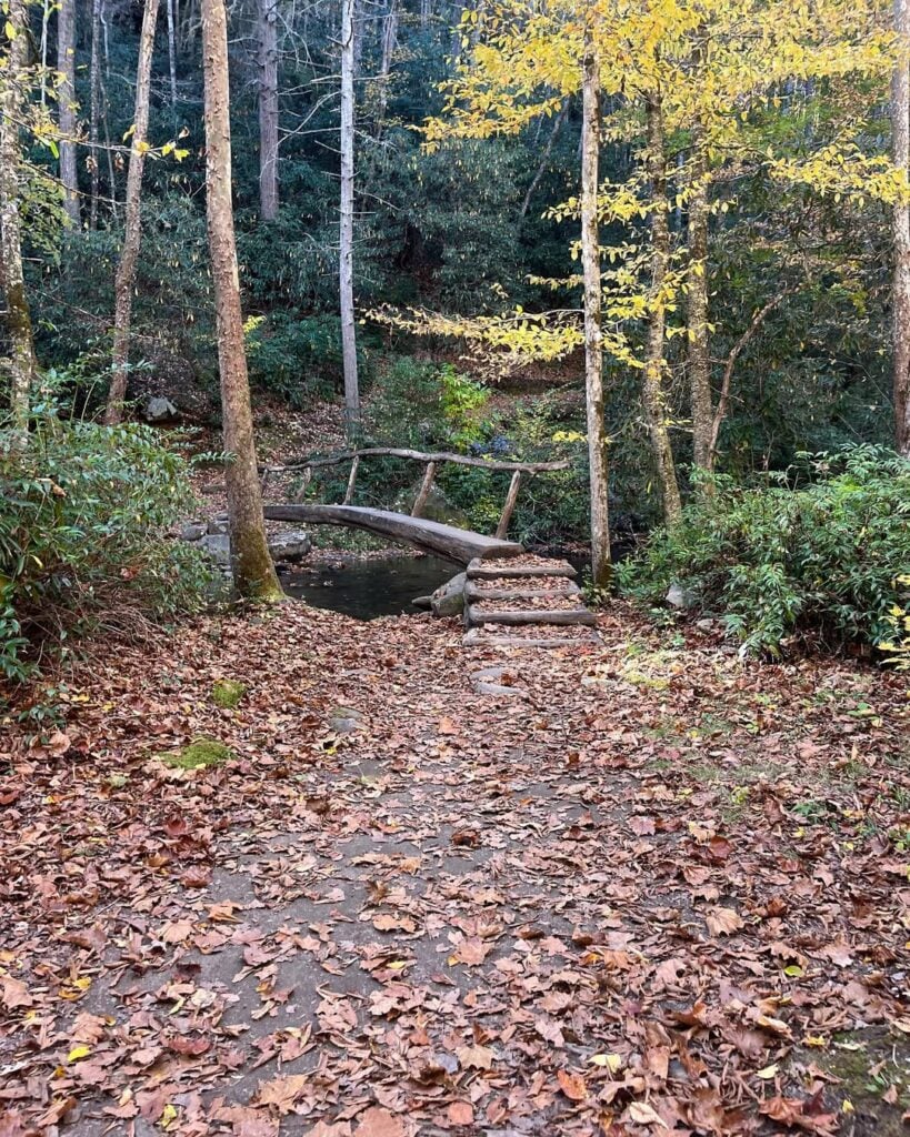 Smokemont Loop