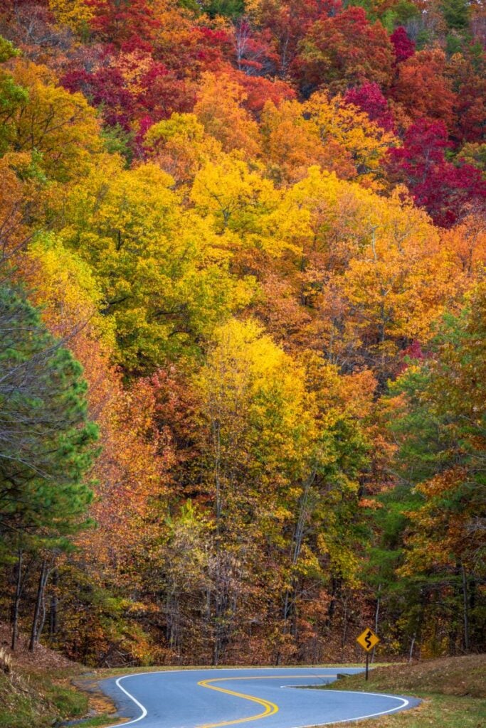 Wears Valley-Fall